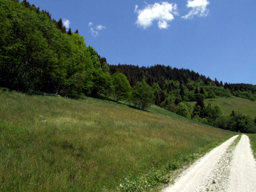 Wanderweg in Ginau- ein Seitental in Wagrain  - (20. Mai 2007)